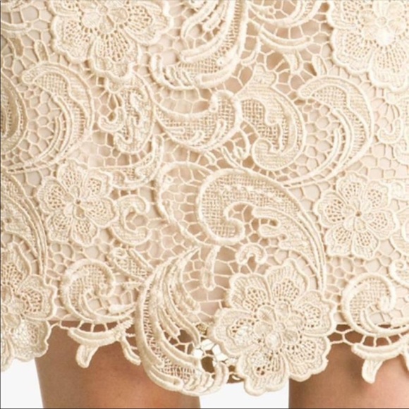 Adrianna-Papell Lace sleeveless champagne cocktail dress - Picture 2 of 5